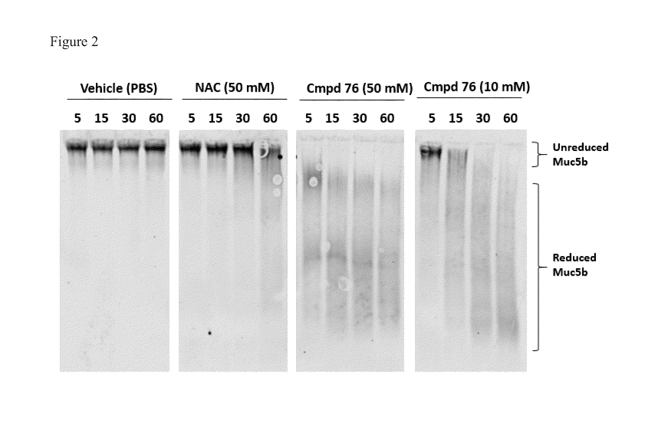 Novel monothiol mucolytic agents