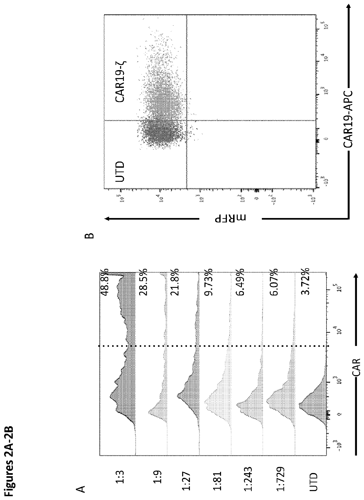 Modified monocytes/macrophage expressing chimeric antigen receptors and uses thereof