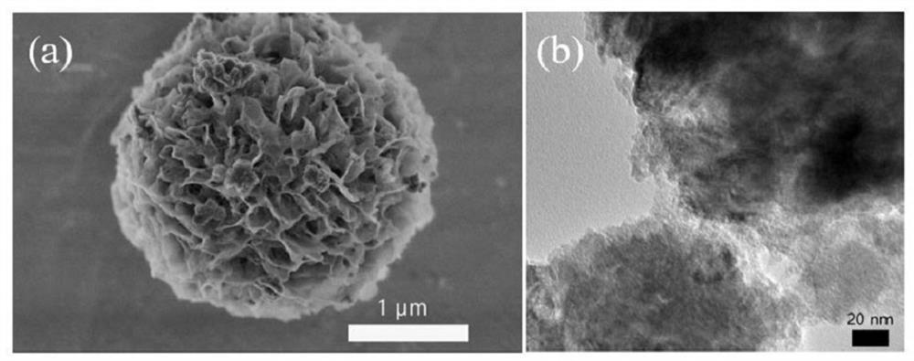 Mn5O8 nano cage-shaped oxygen reduction electrocatalyst and preparation method thereof