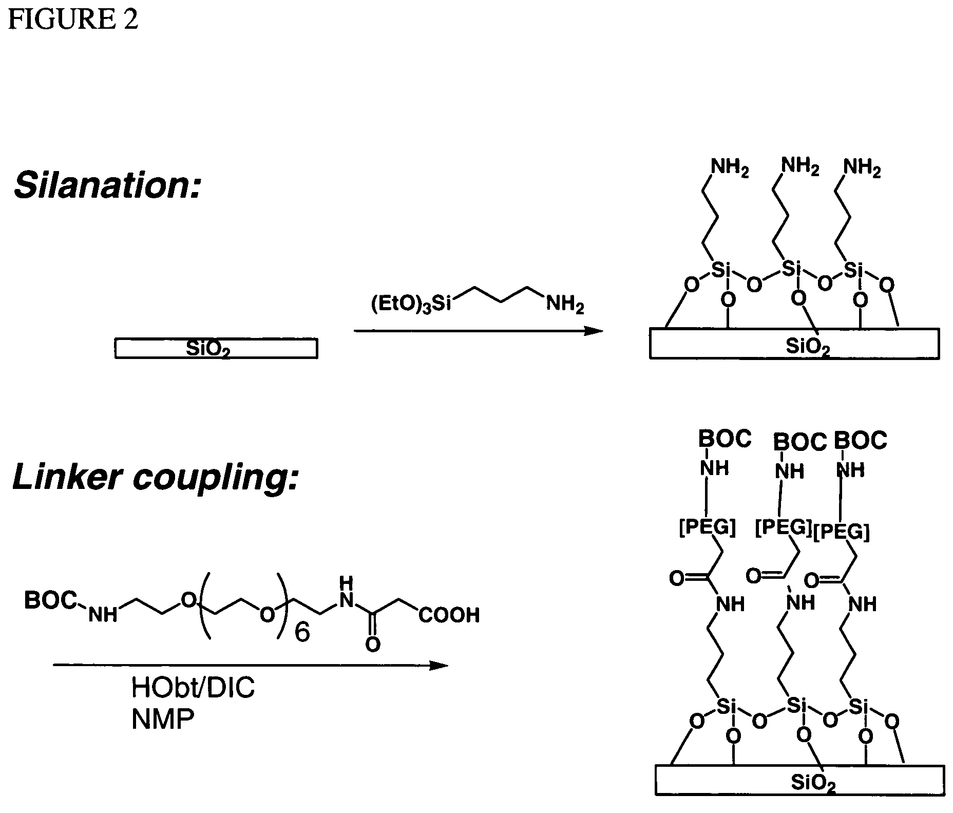 Molecular microarrays and helical peptides