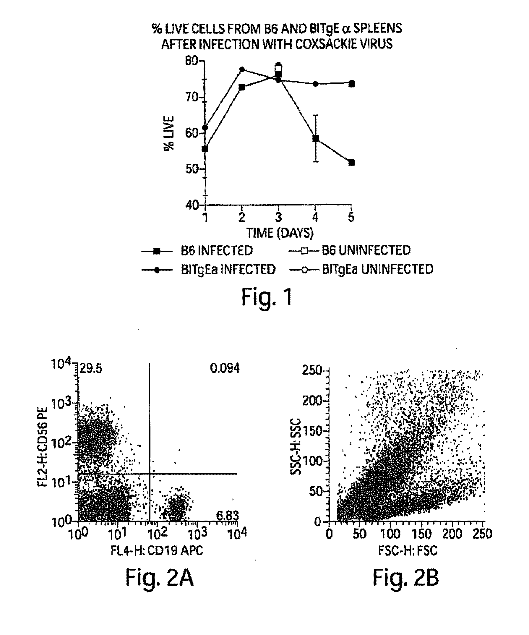 Competitive inhibitors of invariant chain expression and/or ectopic clip binding