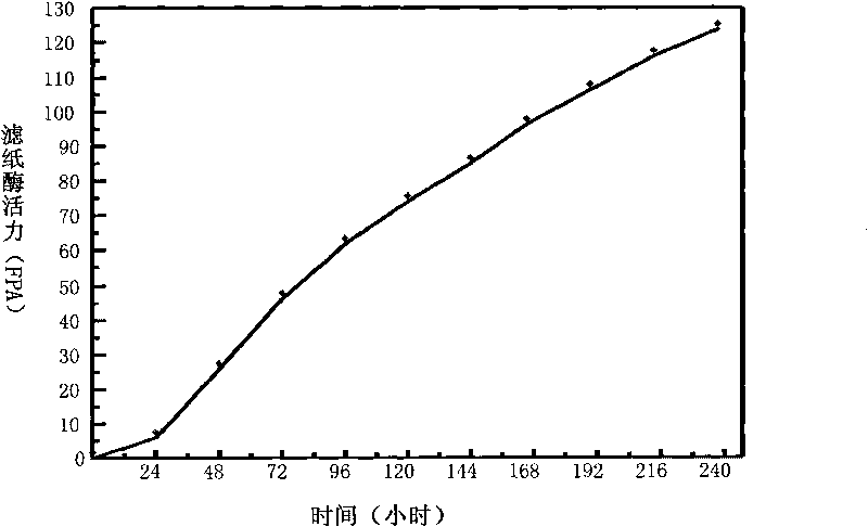 Method for efficiently producing cellulase
