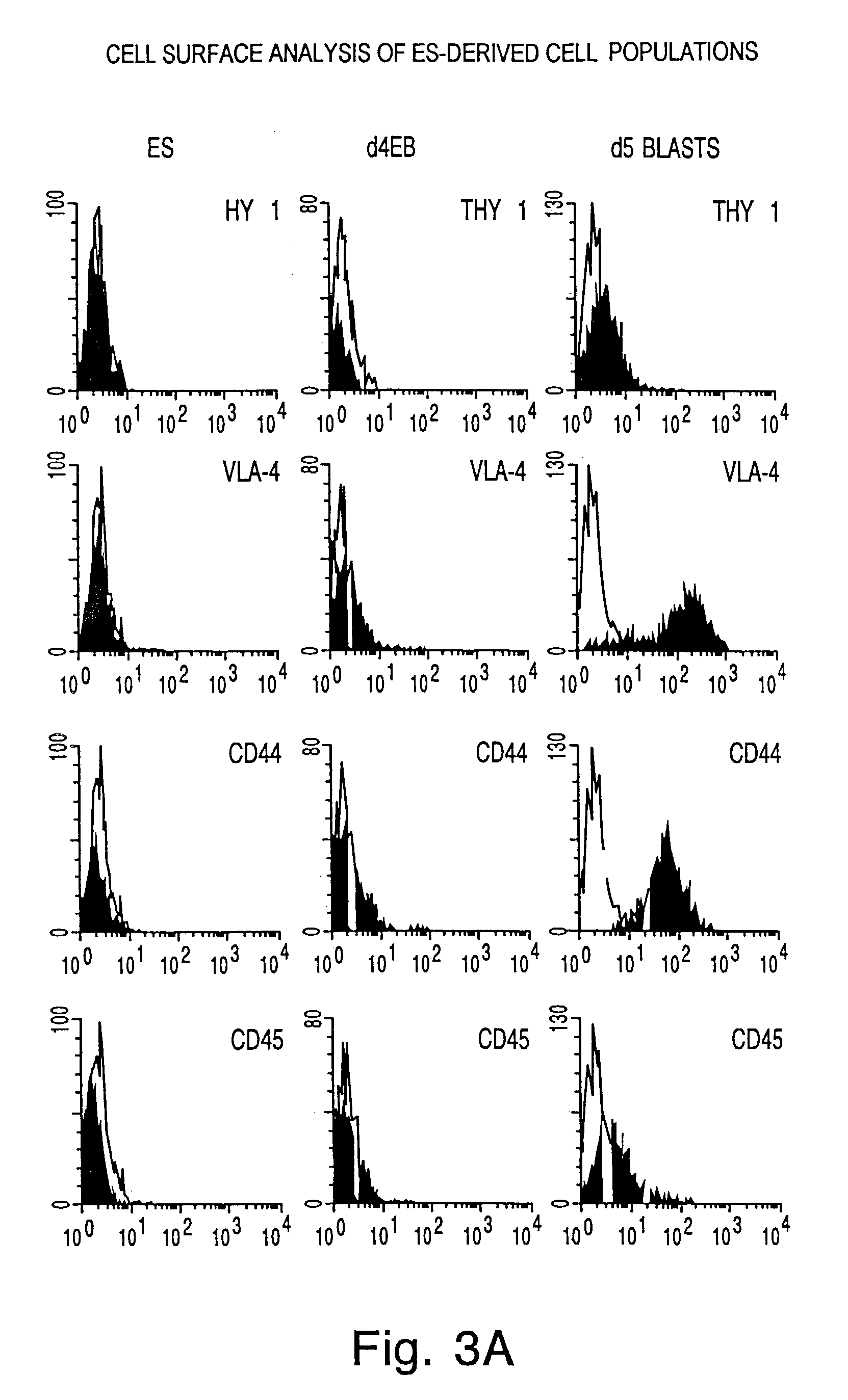 Cell populations and methods of production thereof