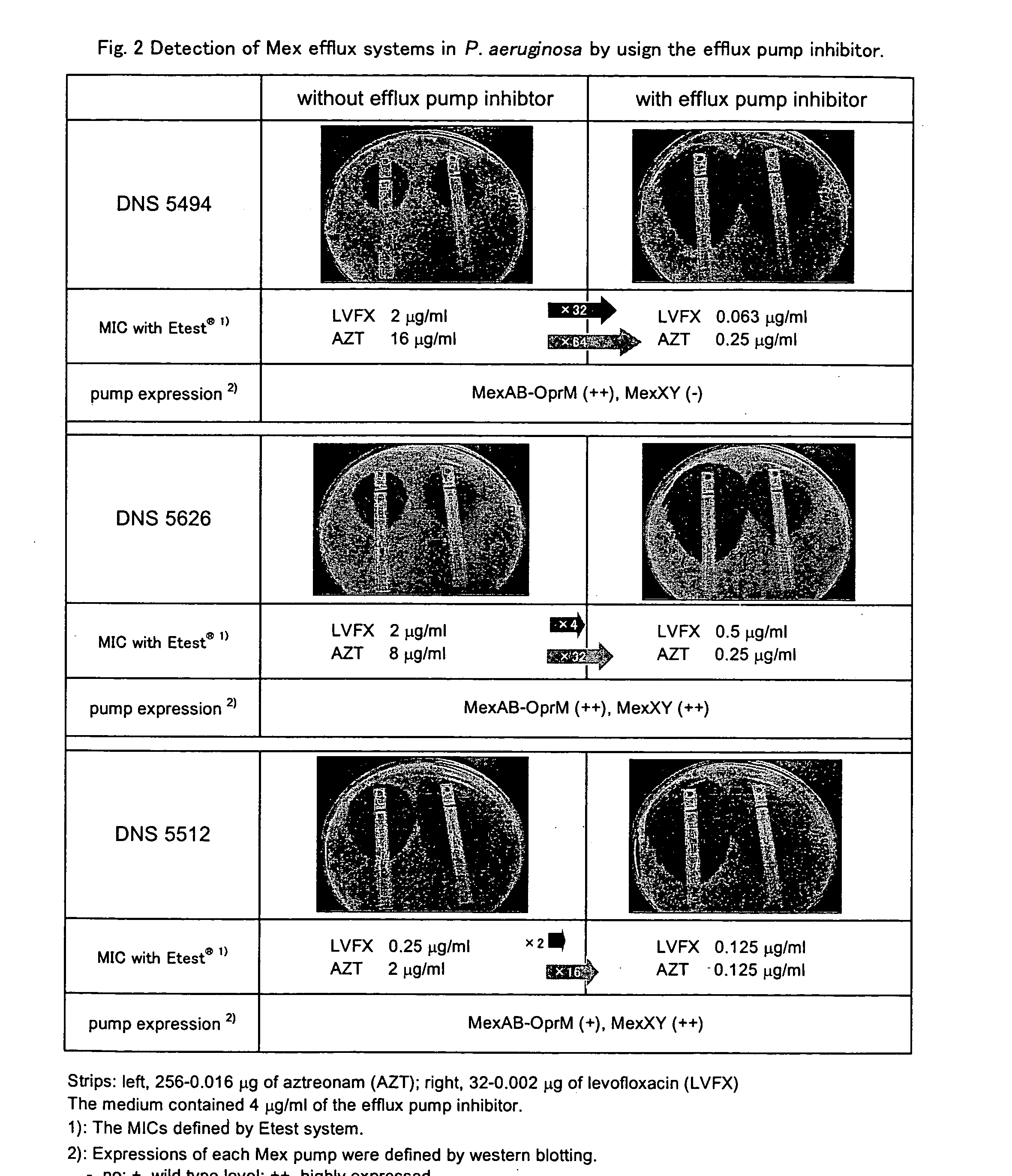 Medicine for inhibiting drug elimination pump