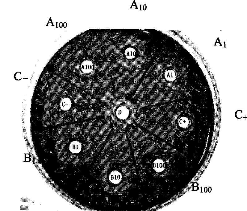 Constitutive acidic incision cellulase high-yield strain