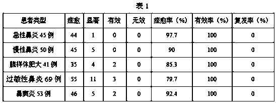 Traditional Chinese medicine composition for treating rhinitis, external-application patch and preparation method thereof