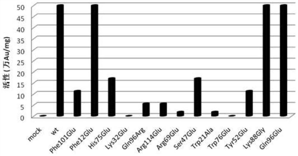 Nerve growth factor mutants