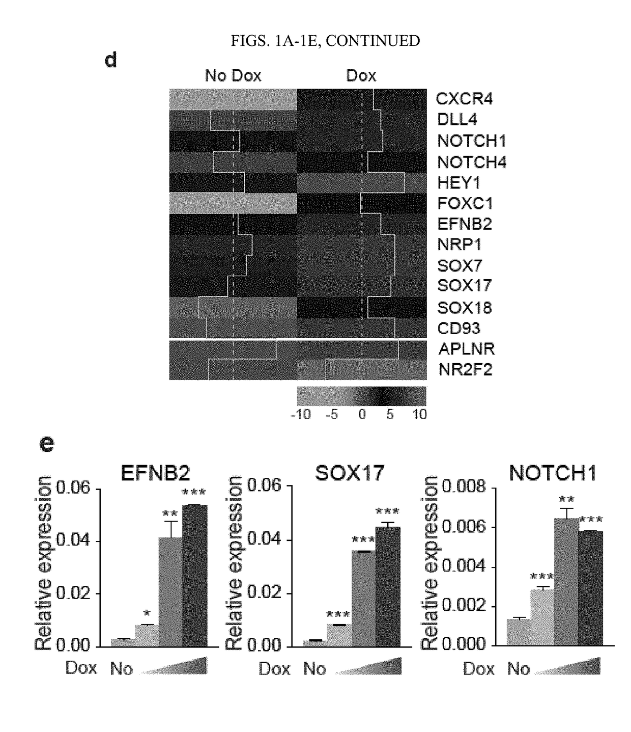 Induction of arterial-type of hemogenic endothelium (AHE) and enhancement of t cell production from pscs through overexpression of ets factors or modulating mapk/erk signalling pathways