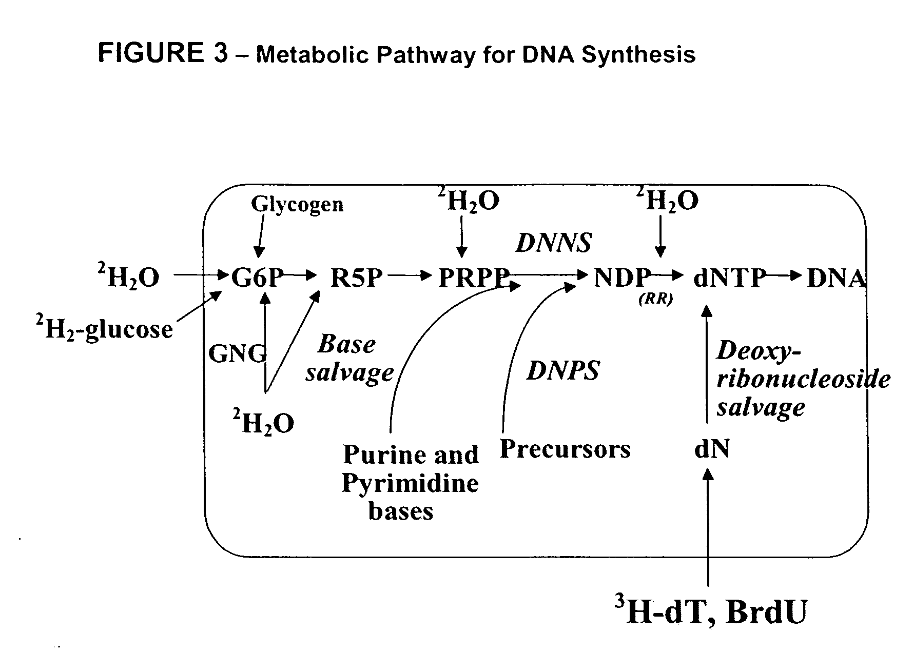 Method for high-throughput screening of compounds and combinations of compounds for discovery and quantification of actions, particularly unanticipated therapeutic or toxic actions, in biological systems