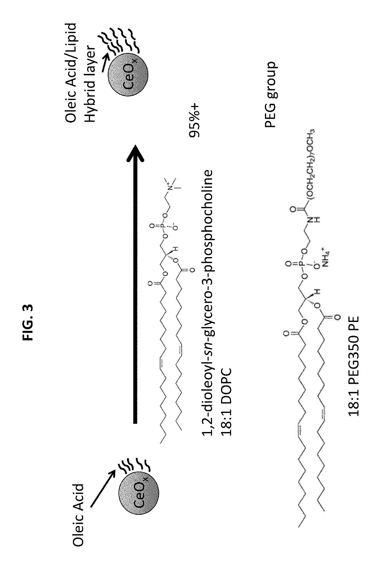 Method of enhancing the biodistribution and tissue targeting properties of therapeutic ceco2 particles via nano-encapsulation and coating