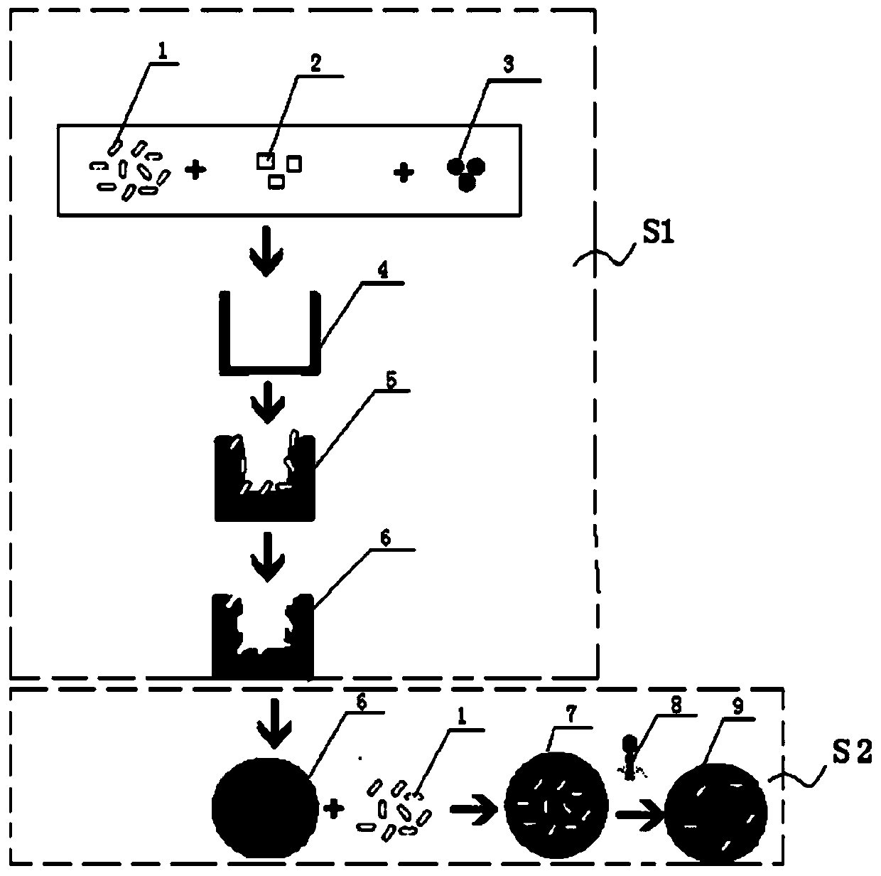 Rapid detection method for virus activity