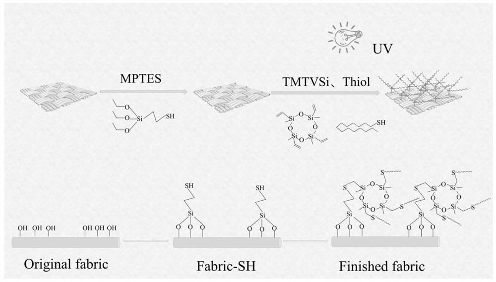 A method for preparing superhydrophobic cotton textiles by mercapto-ene click chemical modification