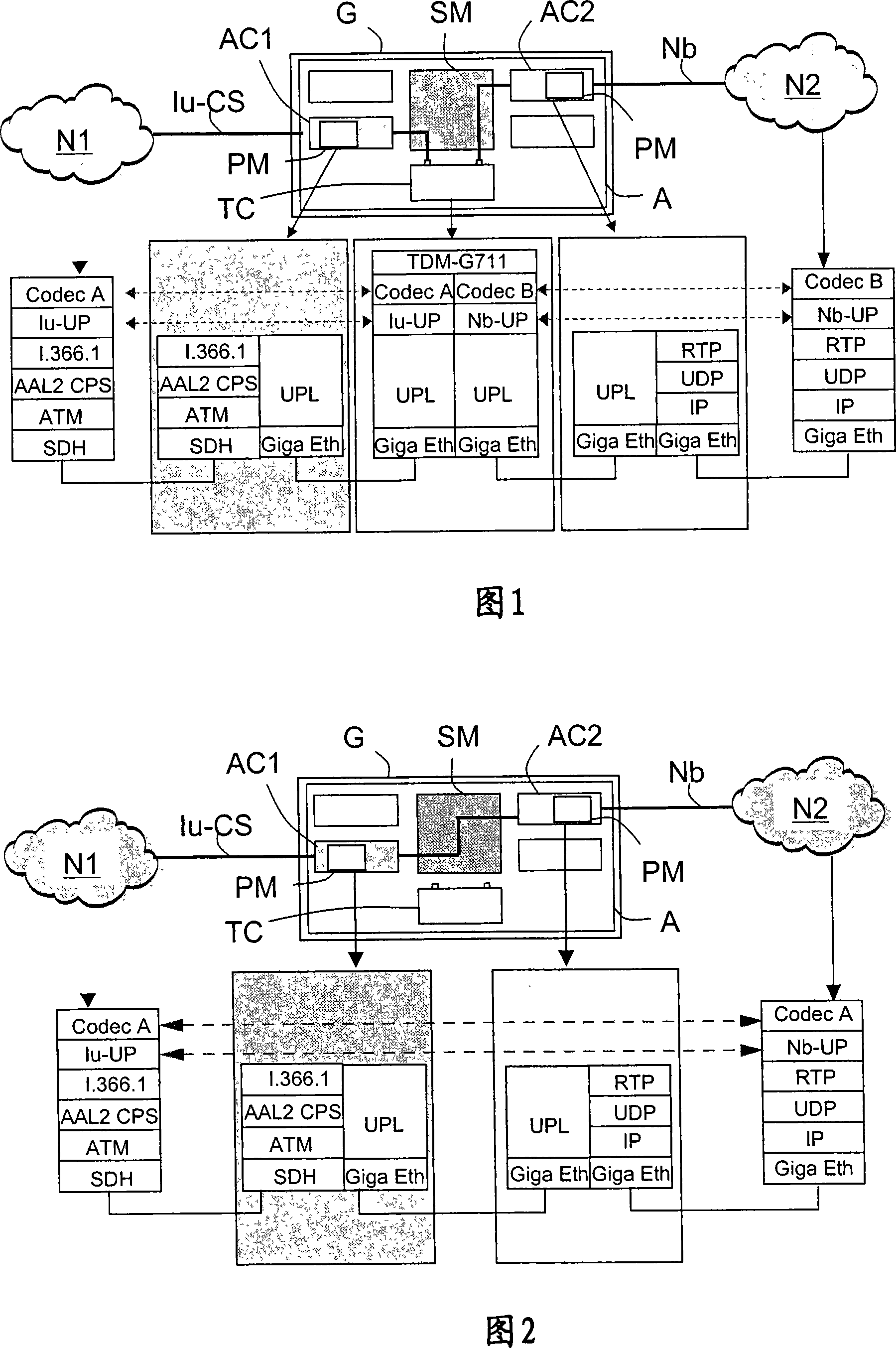 Switching apparatus having universal transport of data packet frames