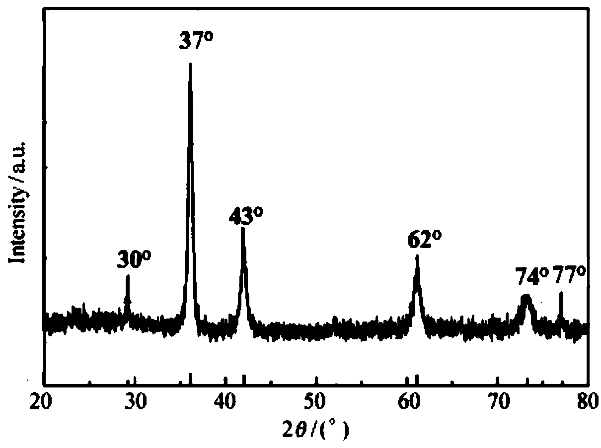 Method for preparing activated sludge cuprous oxide composite material by using kandelia candel hypocotyl extract