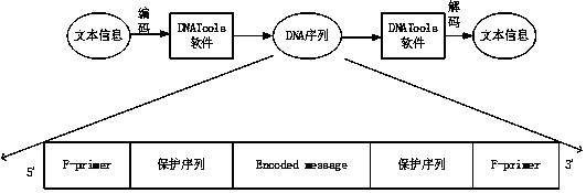 Method for taking DNA as text information efficient storage medium
