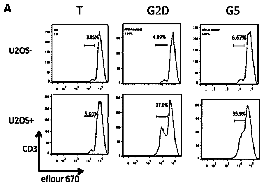 Preparation and application of CXCL13 chemotaxis type CAR-T cells