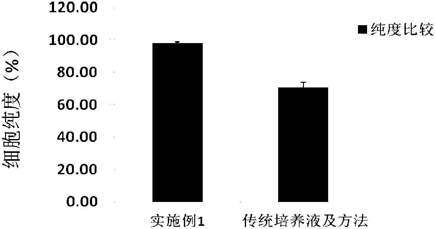 Primary culture method of elderly rat brain vascular endothelial cell