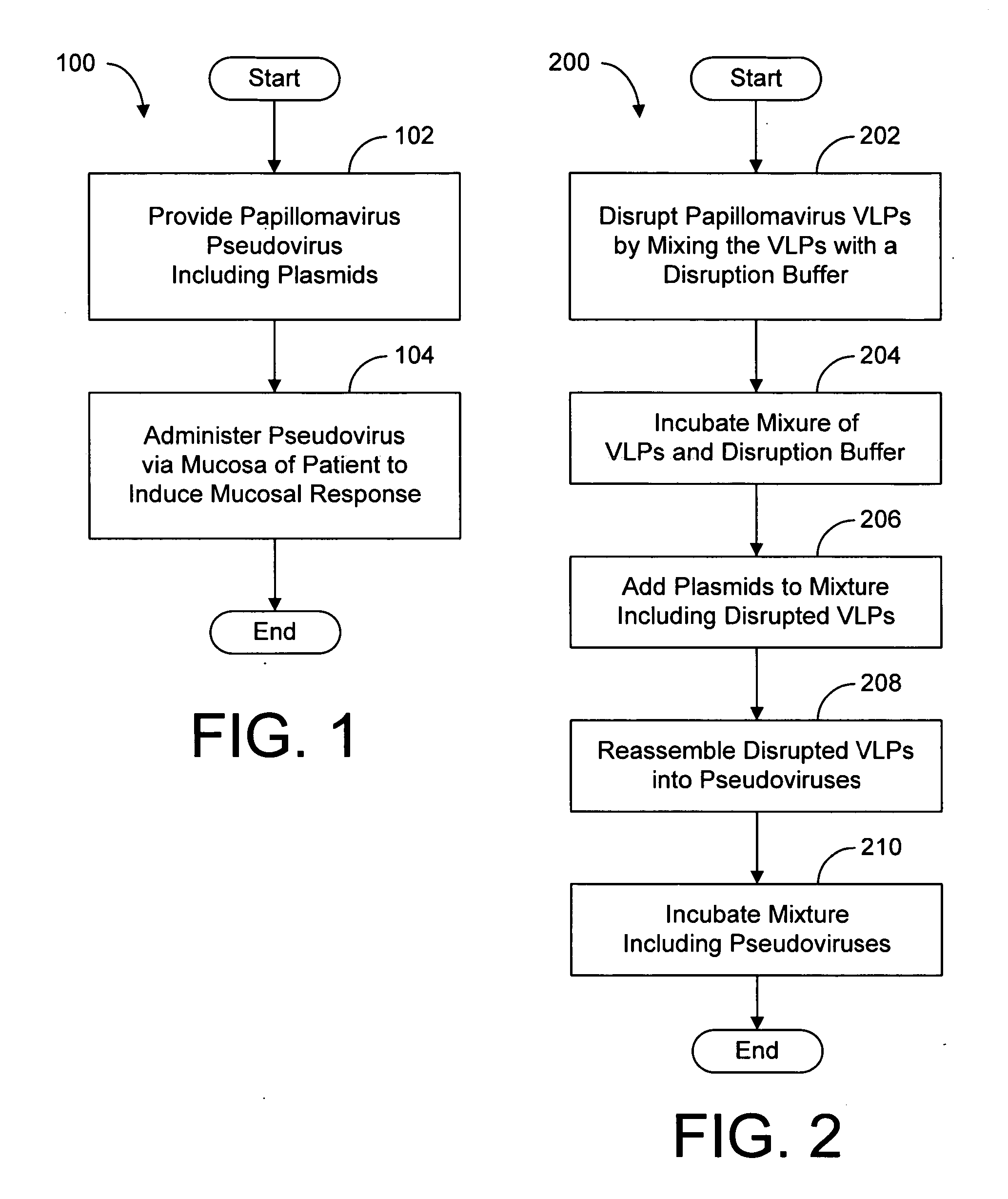 Papilloma pseudovirus and preparation