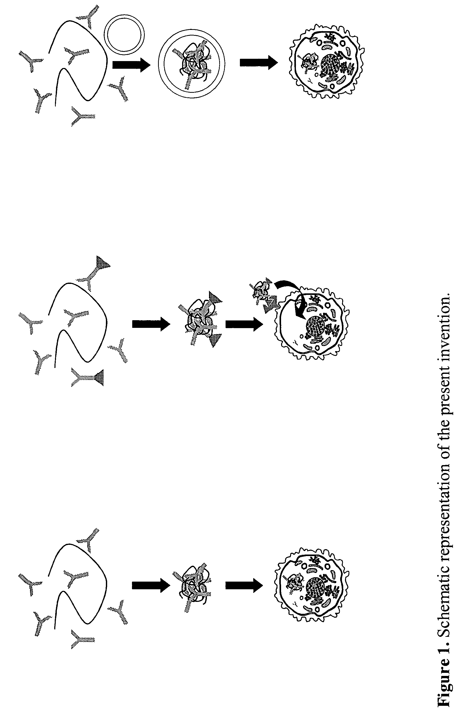 Method for transfer of molecular substances with prokaryotic nucleic acid-binding proteins