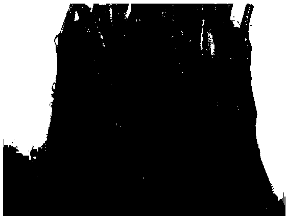 Method for processing golden dendrobium devonianum bars