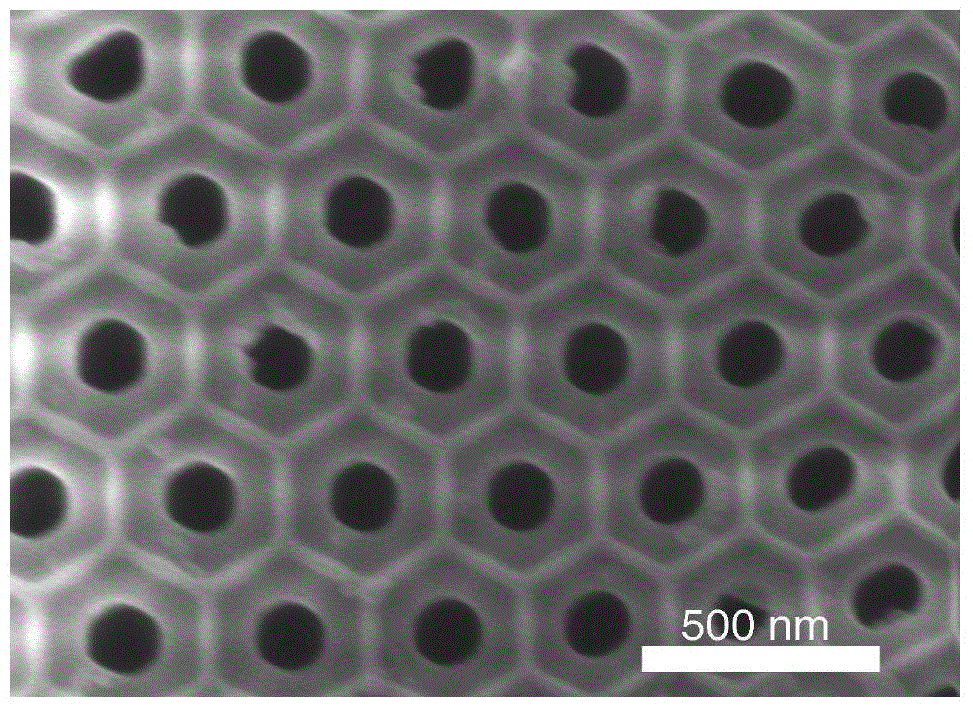 Sea urchin shaped nano-hemisphere array as well as preparation method and application thereof
