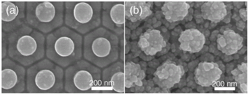 Sea urchin shaped nano-hemisphere array as well as preparation method and application thereof