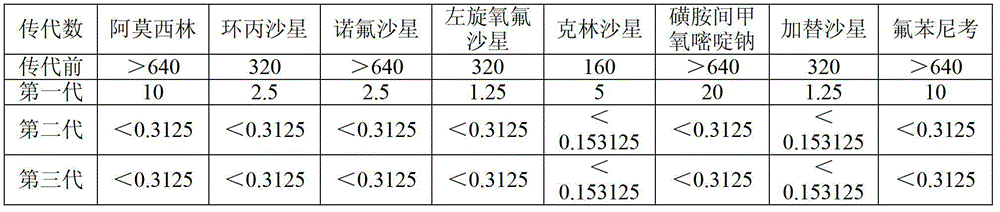 Method for screening traditional Chinese medicines influencing drug resistance of escherichia coil generating ESBLs (extended spectyum beta lactamase)