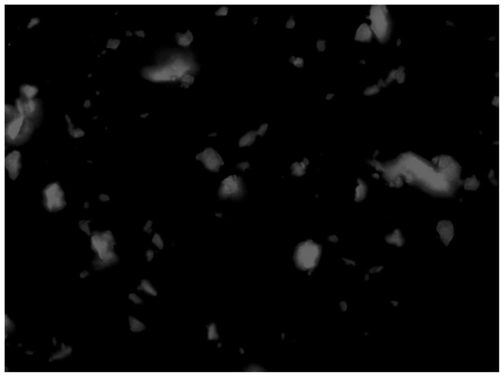 Organic composite photocatalyst for degrading drugs and pathogenic bacteria and preparation method thereof