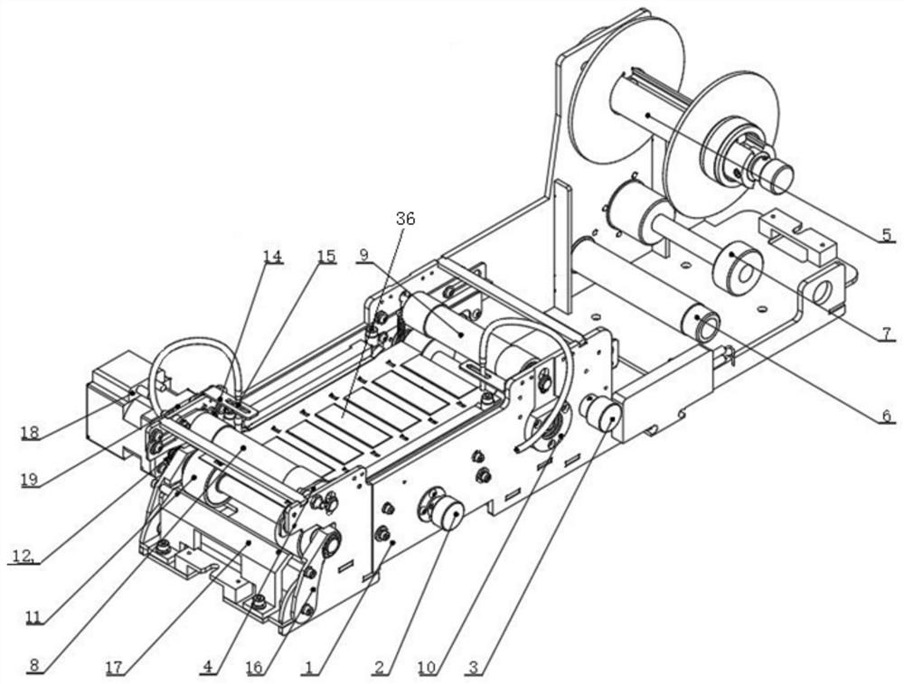 Marked coil stock feeding device