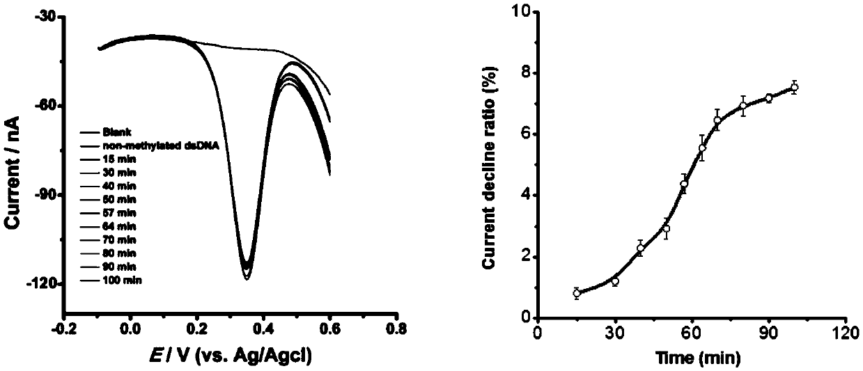 A kind of dna methylation real-time detection method and its application