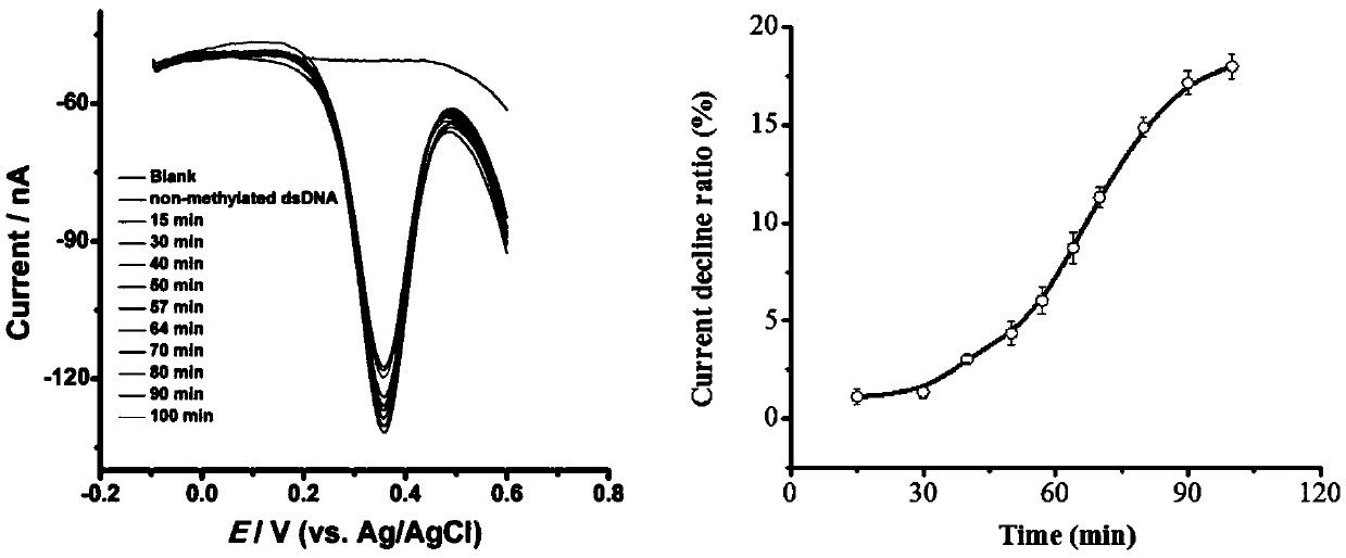 A kind of dna methylation real-time detection method and its application