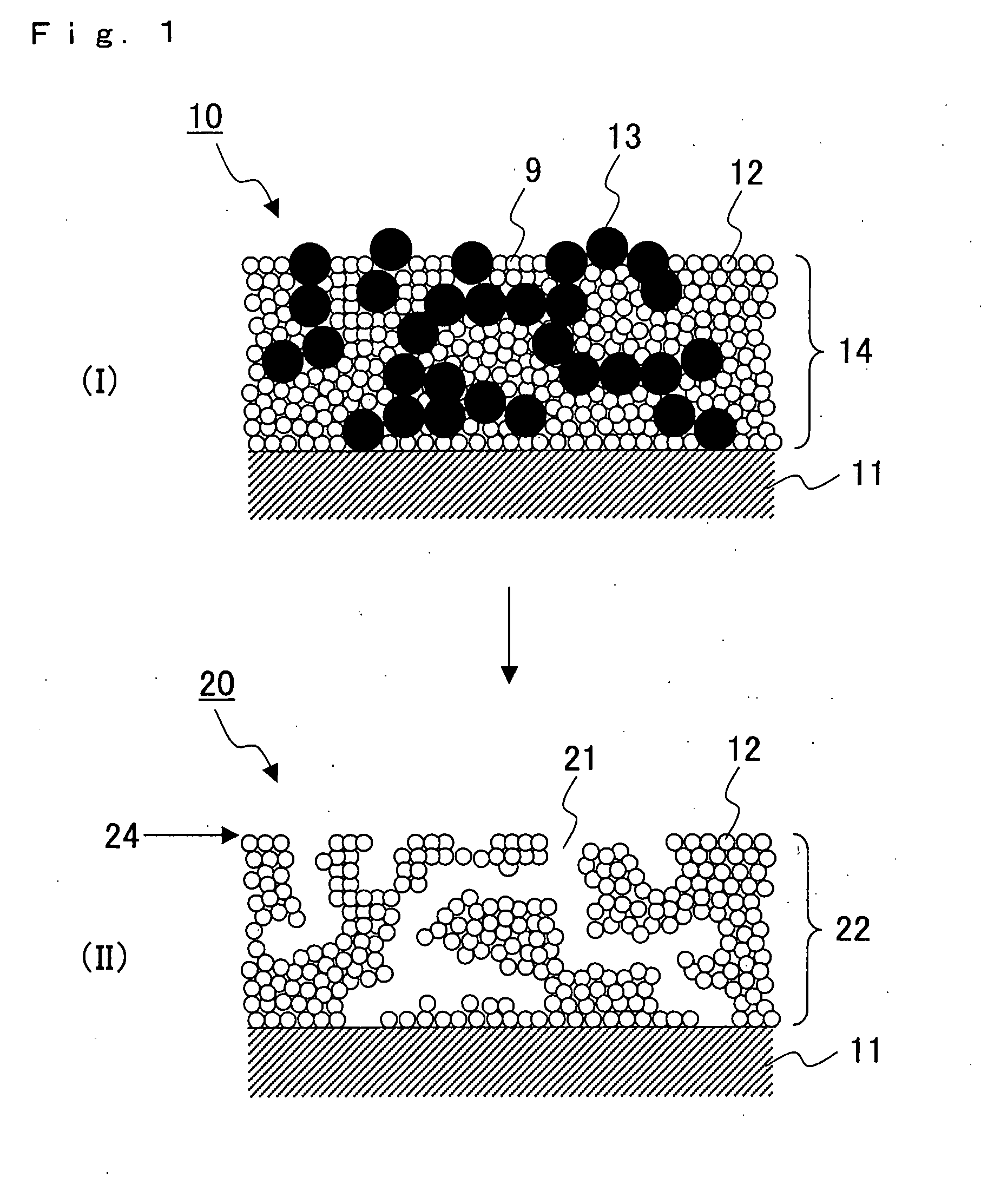 Solid Oxide Type Fuel Battery Cell and Process for Producing the Same