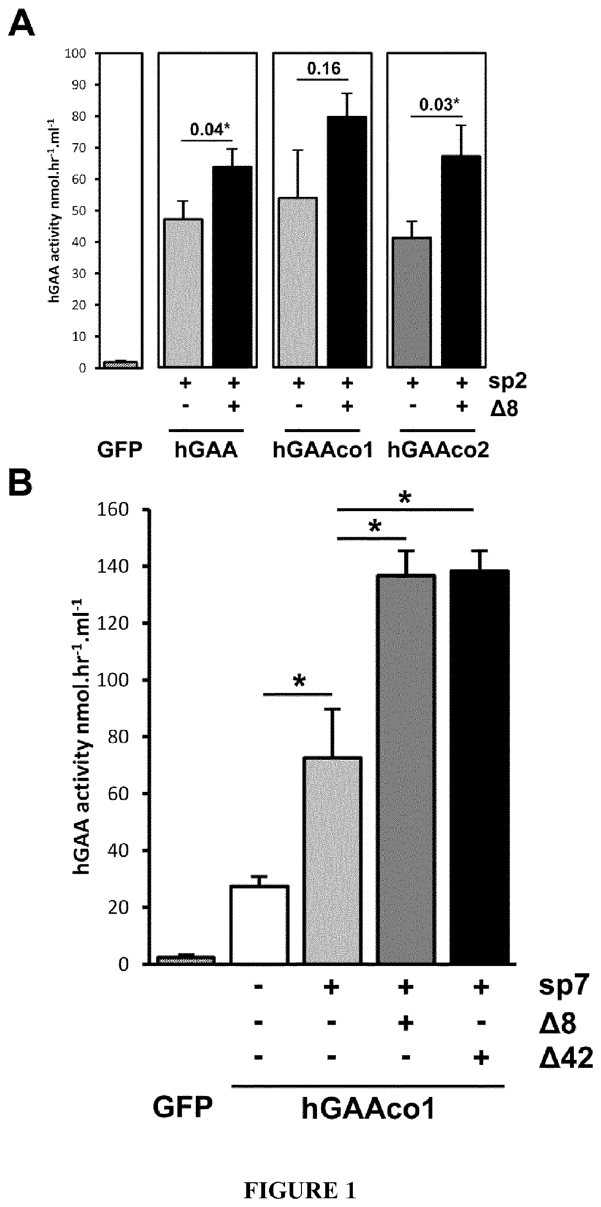 Acid-alpha glucosidase variants and uses thereof