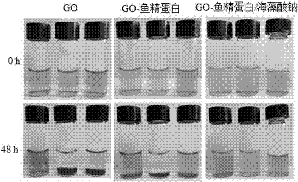 Preparation method and application of graphene oxide-protamine/sodium alginate compound