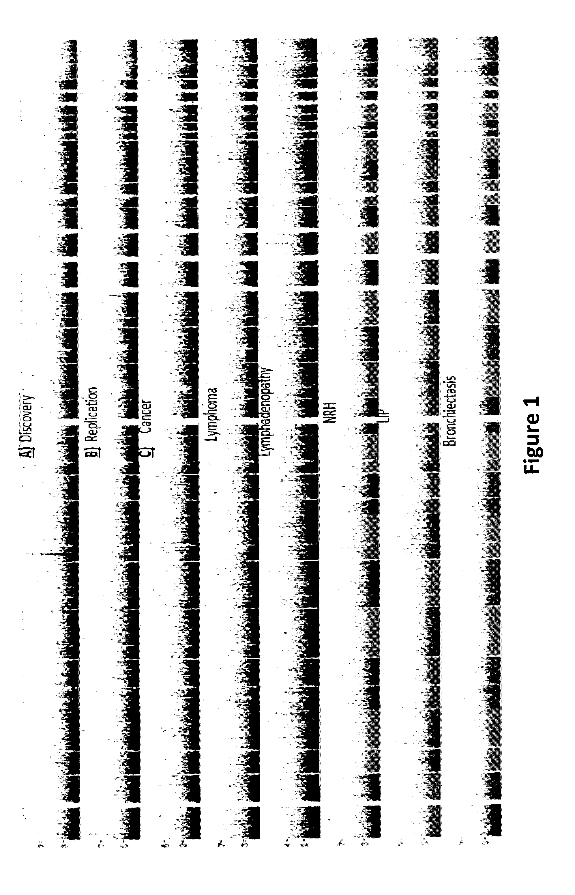 Common and Rare Genetic Variations Associated with Common Variable Immunodeficiency (CVID) and Methods of Use Thereof for the Treatment and Diagnosis of the Same