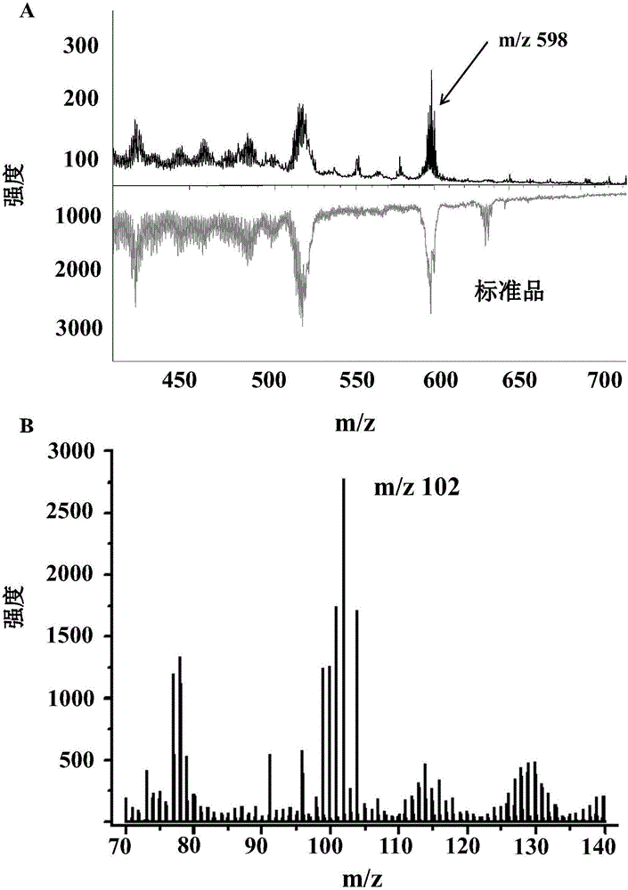 Addressable sample plate and application thereof in single cell microscopic imaging