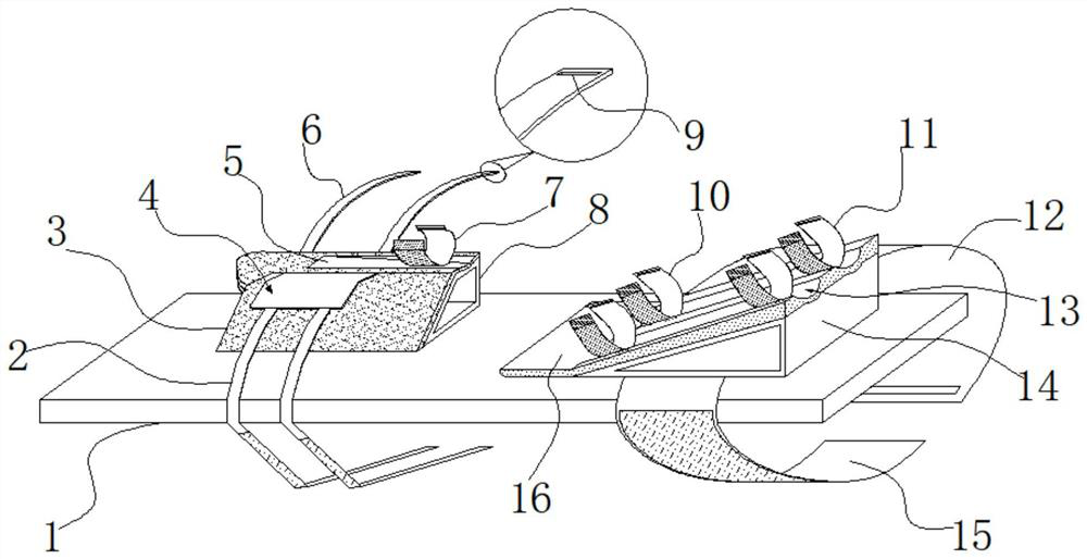 Body position pad for transendoscopic retrograde cholangiopancreatography