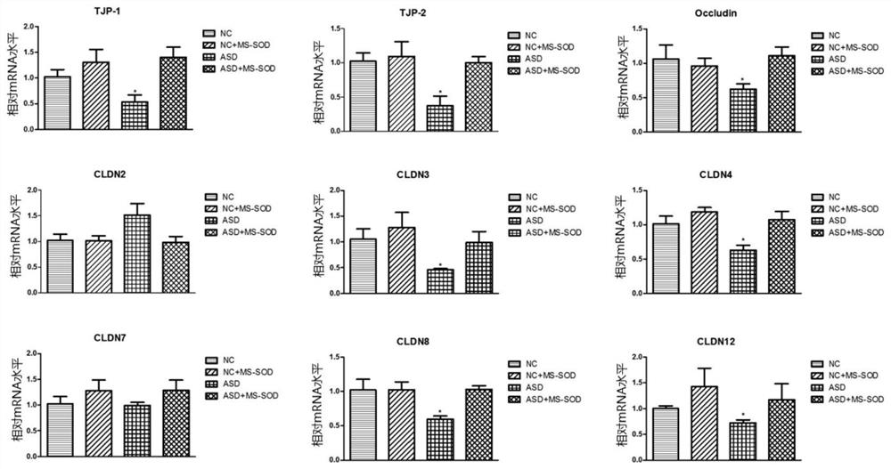 Application and products of manganese-type high-stable superoxide dismutase in improving autism