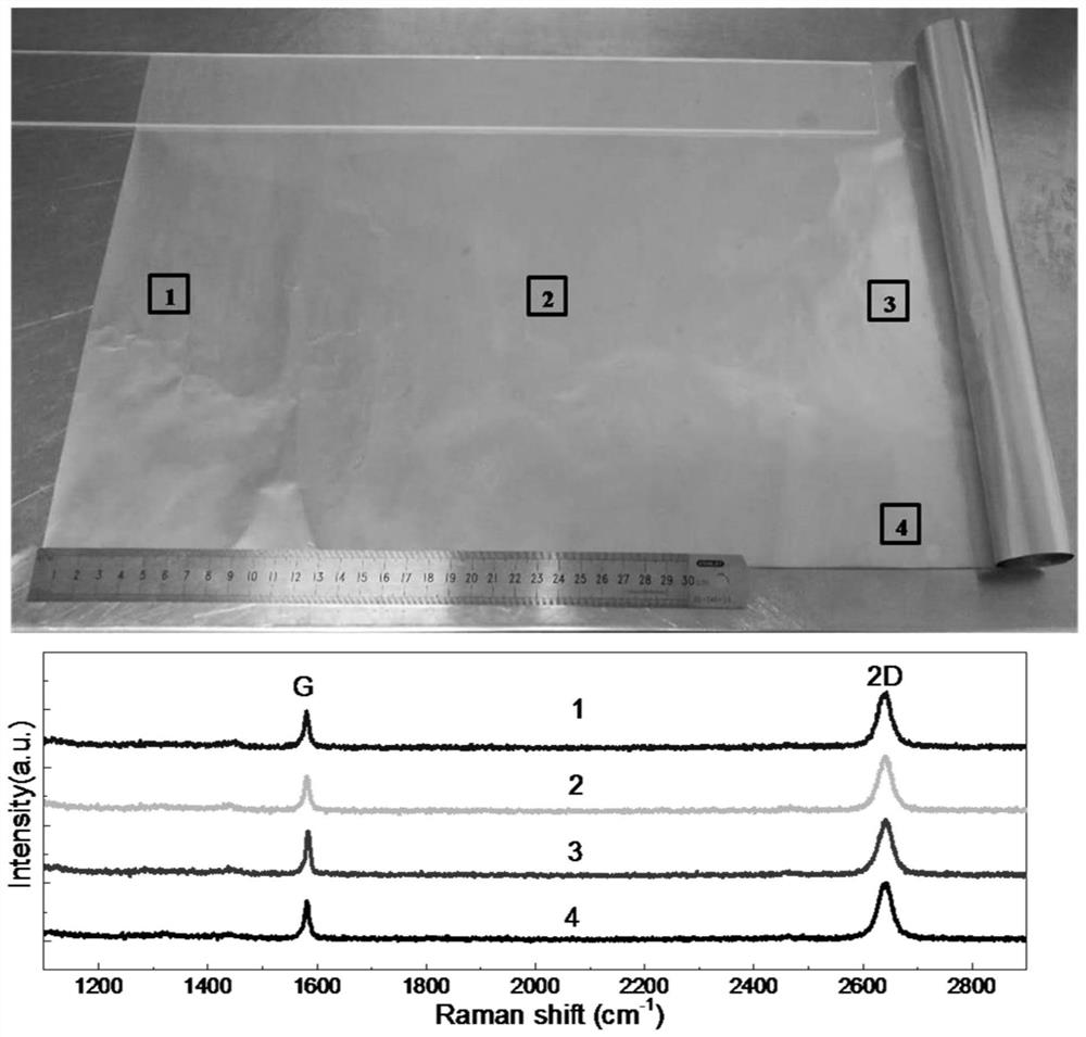 A method and device for rapid and macro-scale preparation of ultra-large two-dimensional material thin films