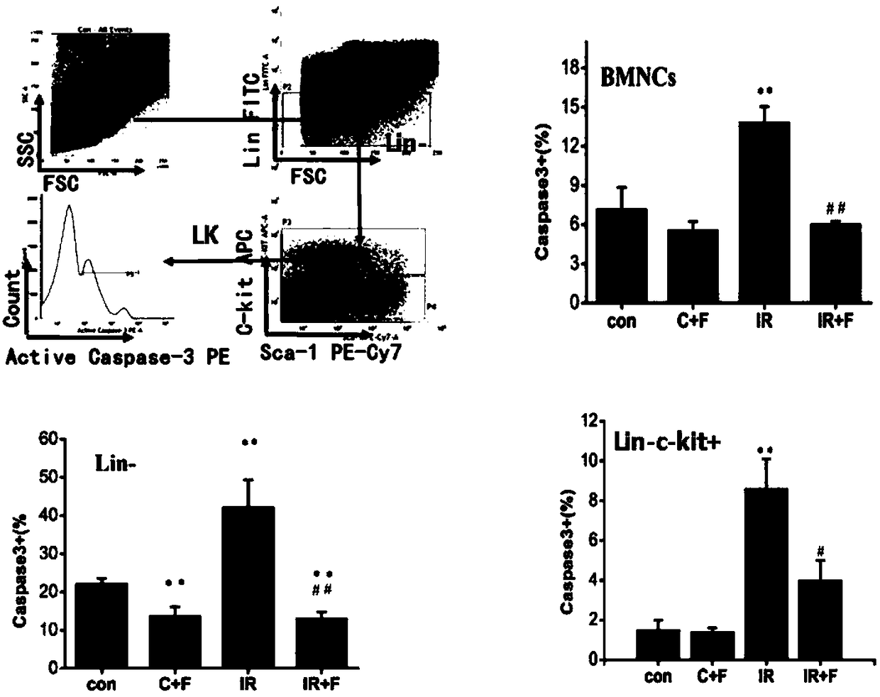 Application of beta-methoxyacrylate compound in preparing drugs for preventing and/or treating radiation damage