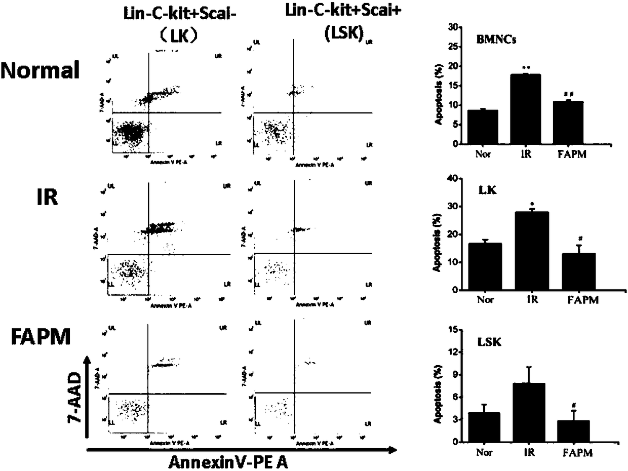 Application of beta-methoxyacrylate compound in preparing drugs for preventing and/or treating radiation damage