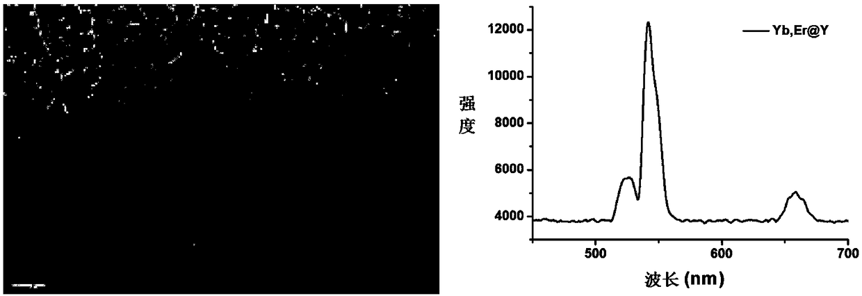 Internally and externally refined composite nano photosensitizer as well as preparation method and application thereof