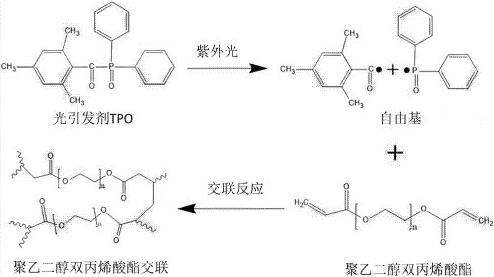 Quick and mask-less cell two-dimensional graphical manufacturing method