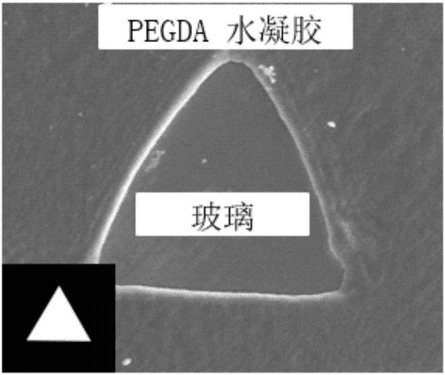 Quick and mask-less cell two-dimensional graphical manufacturing method