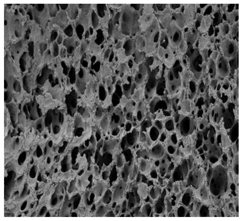 Preparation method of cellulose-based amidoximation seawater uranium extraction adsorption microspheres