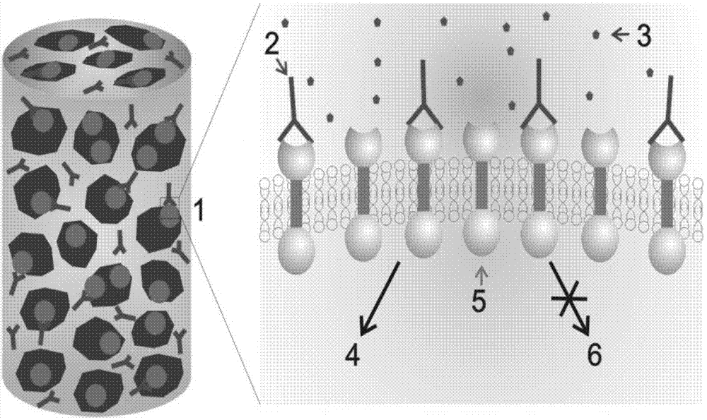 Cylinder support for repairing spinal cord injury and application method thereof