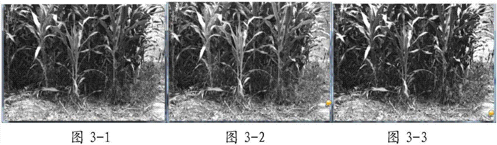 Straw burning monitoring method based on binocular stereoscopic vision and unmanned aerial vehicle