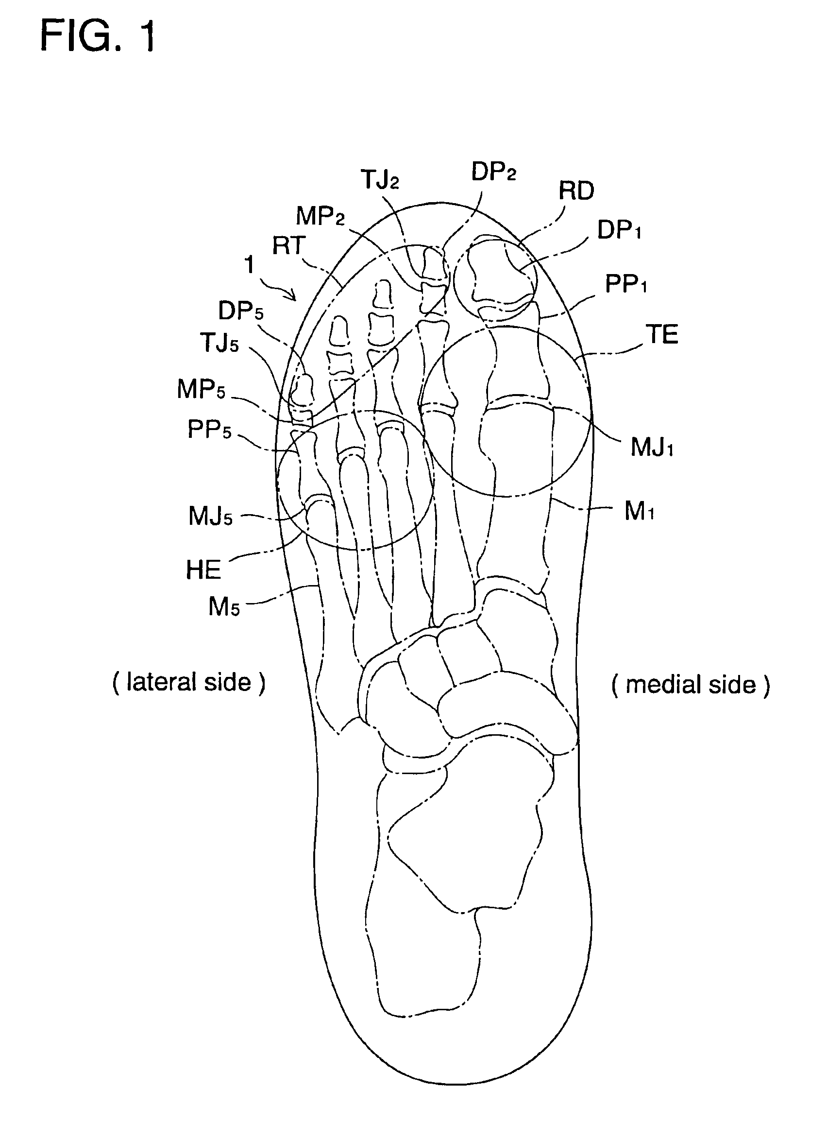 Sole structure for a cleated shoe
