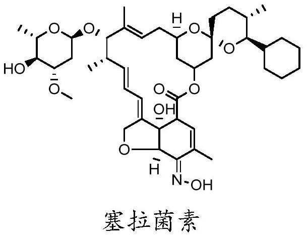 Synthesis method of selamectin