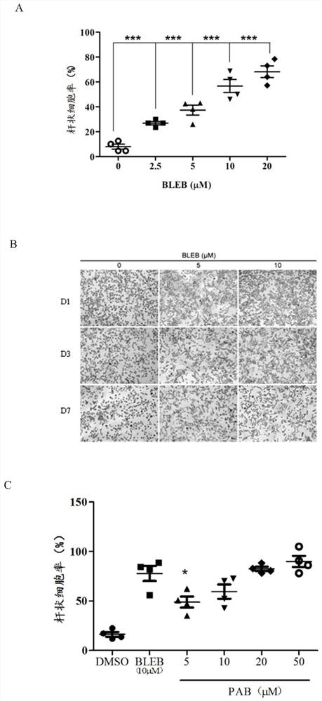 Human myocardial cell separation reagent, culture medium and separation and culture methods
